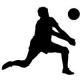 VOLEIBOL